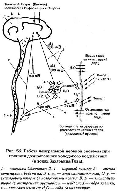 Реферат: Система закаливания Иванова Порфирия Корнеевича